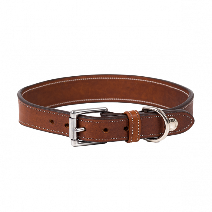 Le collier pour chien