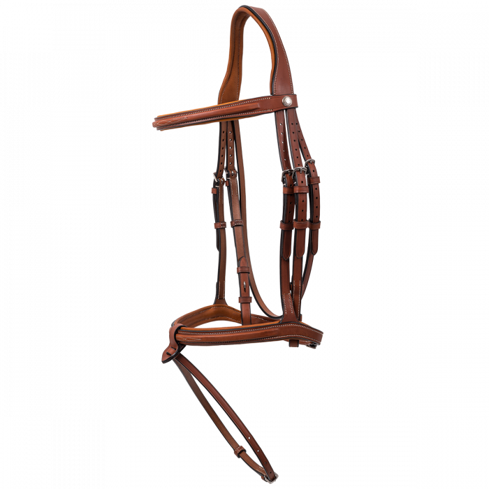 Le Bridon sport muserolle combinée