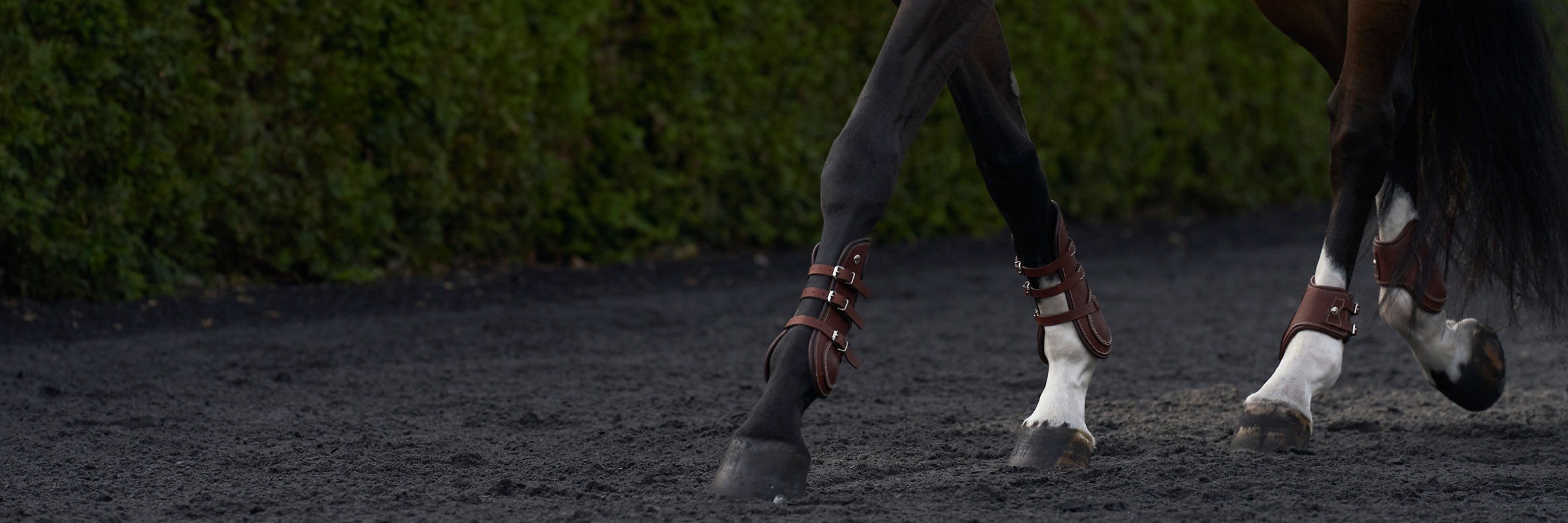 Boots and fetlock boots