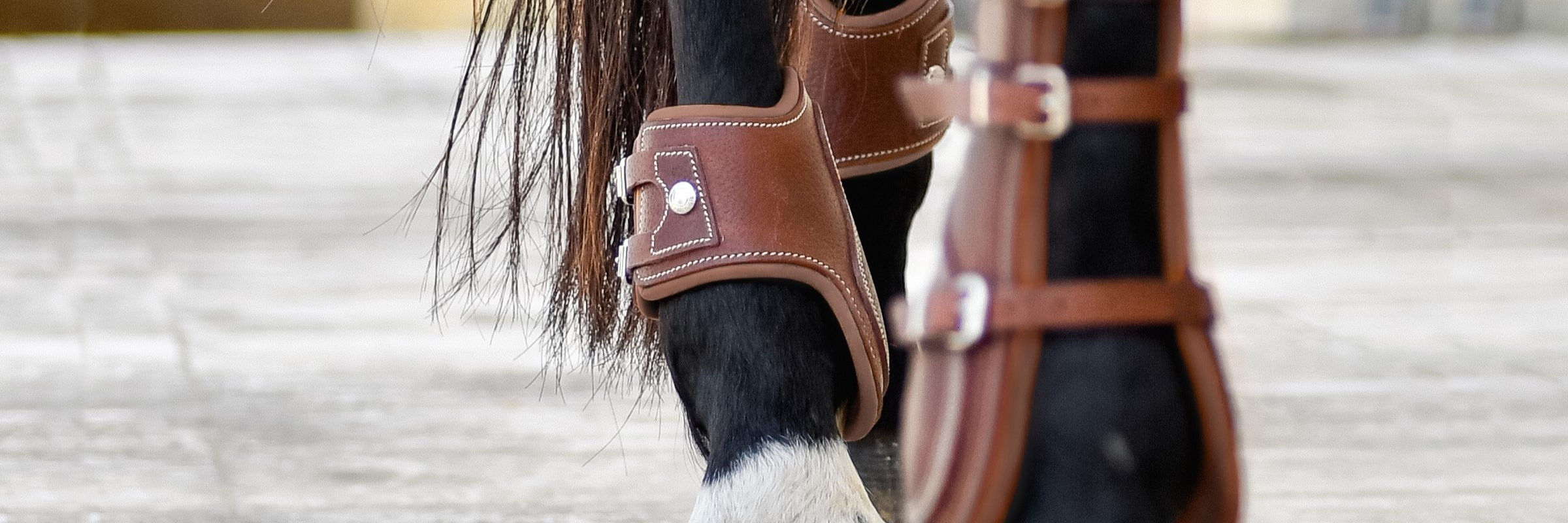 Boots and fetlock boots